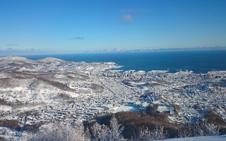 Otaru canal winter night scene